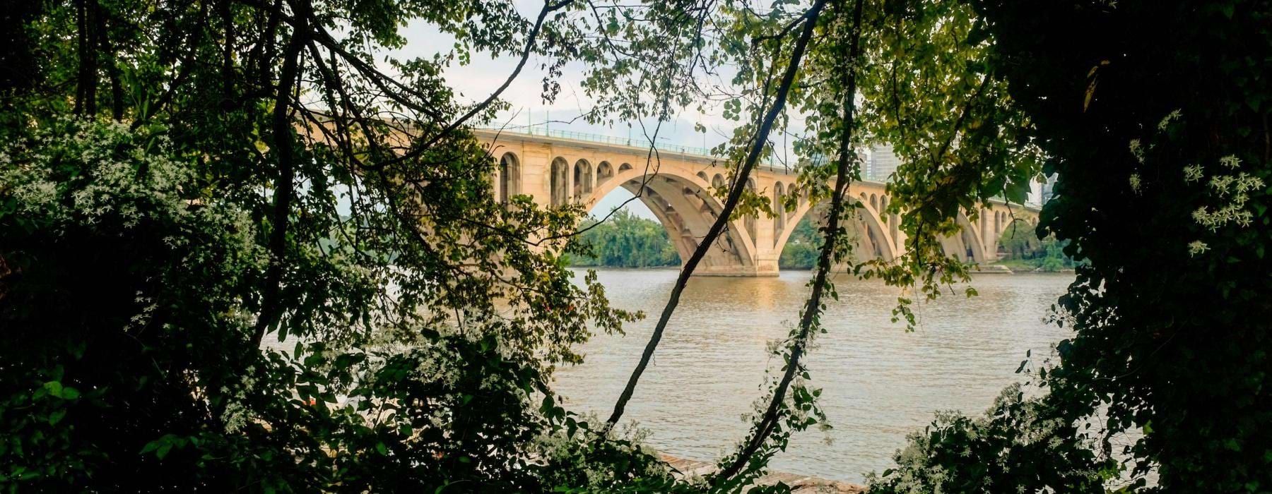 a bridge over a river